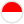 Language Flag